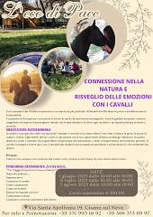 L'eco di pace